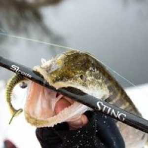 Vlastnosti rybolovu na zimné spinning