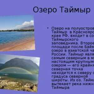 Jazero Taimyr: geografia, podnebie, flóra a fauna