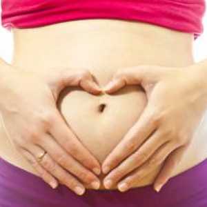 Piaty týždeň tehotenstva: čo sa stane s plodom a mami?