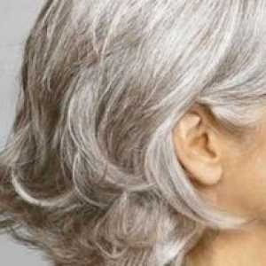 Prečo šedé vlasy: príčiny a preventívne opatrenia