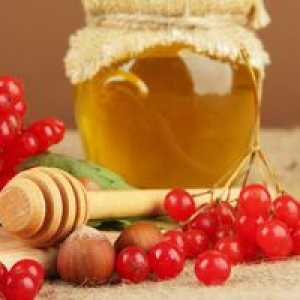 Užitočné vlastnosti vitamínu s medom