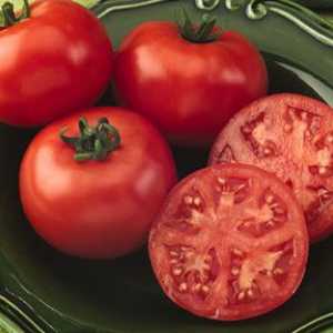 Tomato lanera Popis a opis odrody