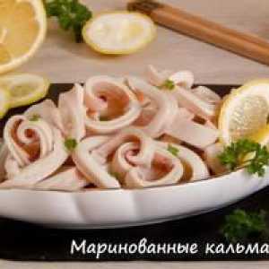 Podrobné recepty nakladanej chobotnice s obrázkami