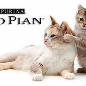 Proplan: zloženie a sortiment mačiek z purínu