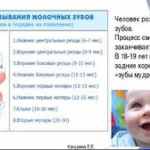 Dojčenie v dieťati: rozvrh a vlastnosti procesu