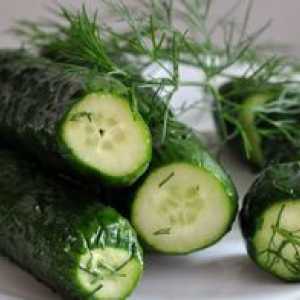 Recept na chutné ľahko solené uhorky so studenou vodou