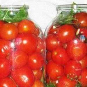 Recepty ľahko slaných paradajok: rýchle varenie v hrnci