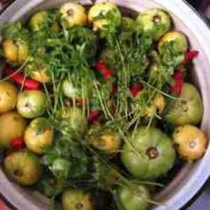 Recepty zo zákruty zelených paradajok v panvici na zimu