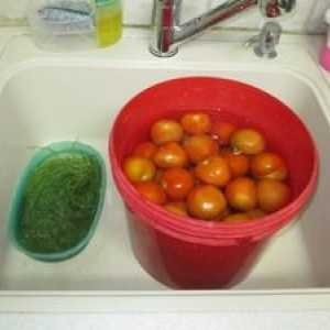 Recepty na morenie zelených paradajok v kocke a špičkách