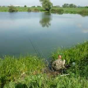 Ryby a jazerá pre rybolov v regióne Ivanovo