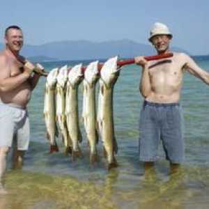 Rybolov na Bajkal v zime a v lete