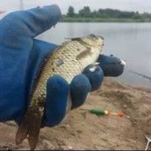 Rybolov v Čeljabinsku: voľné a platené jazerá