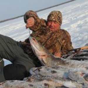 Rybolov v Nižnávartovsku: rysy, predpoveď rybieho skusu
