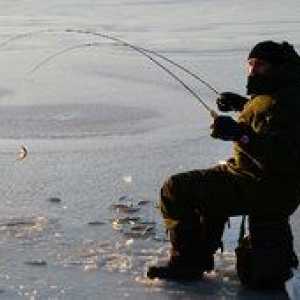 Rybolov na území Primoria: druhy rýb žijúcich v Primorye
