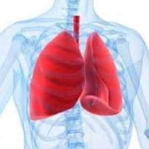 Príznaky a liečba pleurisy pľúc