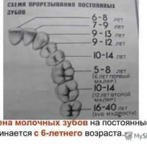 Zmena zubov u dieťaťa: tipy a poradie straty zubov