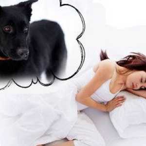 Sen: čo sníva veľký čierny pes?