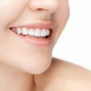 Štruktúra a funkcia ústnej dutiny