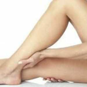 Štruktúra ľudskej nohy pod kolenom