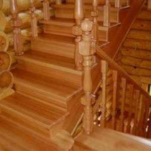 Výstavba schodov v drevených domoch: prvky a fotografie