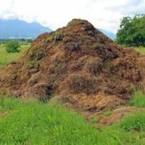 Prasa ako hnojivo: prínos a poškodenie pôdy