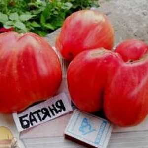 Tomato Batyana: Charakteristika a opis odrody