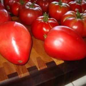 Tomato `mazarini`: opis a vlastnosti odrody, výhody