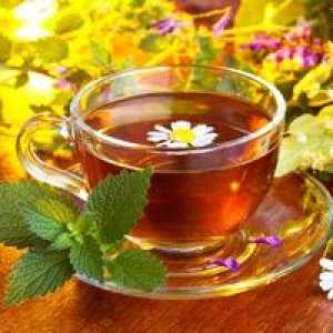 Byliny na čaj: typy, príprava a použitie