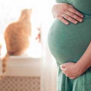 Tridsiaty týždeň tehotenstva - čo vyzerá brucho, čo sa stane