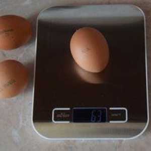 Hmotnosť slepačieho vajca, koľko váži gram bez škrupiny