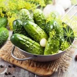 Vynikajúce krehké ľahko slané uhorky: recepty na rýchle varenie