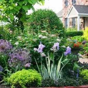 Vlhkosť-milujúci rastliny, kríky, stromy pre záhradu