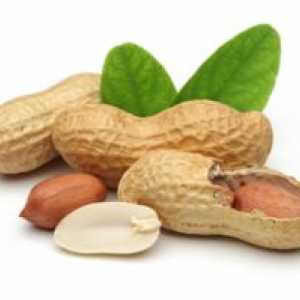 Škody a prínosy arašidov pre ľudské telo, vlastnosti pražených orechov