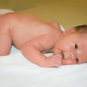 Vrodené reflexy u novorodenca
