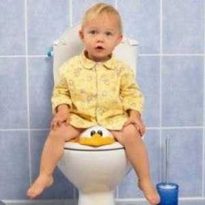 Výber sedačky pre toaletu pre dieťa